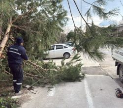 Sapanca Belediye Ekipleri Şiddetli Rüzgâr ve Fırtınada Sahada