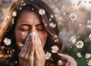 Sıcaklık ve nemin artışı ile kenelerin coğrafi yayılımı genişliyor