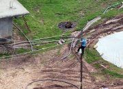 Dronu Görünce Kaçak Hatları İptal Etti