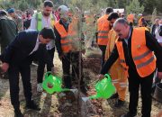 DEPSAŞ Enerji’den Makam Dağı’na  3 Bin Fidanlık Yeşil Dokunuş