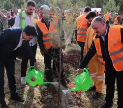 DEPSAŞ Enerji’den Makam Dağı’na  3 Bin Fidanlık Yeşil Dokunuş