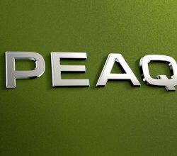  Škoda SUV Ürün Gamının Zirve Modeli “Peaq” İsmini Aldı