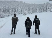 OGM’den kaçak kesimlere karşı 7/24 koruma 