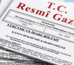 Pasaport, ehliyet ve kimlik kartı ücretlerine zam Resmi Gazete’de