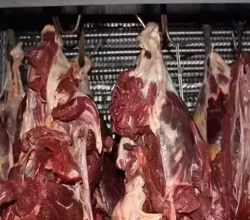 Sakarya’da 5 firmanın et ürünlerinde at eti bulundu