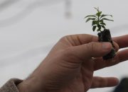 Sakarya’yı Teknoloji Temelli Sürdürülebilir Tarımın Merkezi Yapmak İstiyoruz