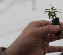 Sakarya’yı Teknoloji Temelli Sürdürülebilir Tarımın Merkezi Yapmak İstiyoruz