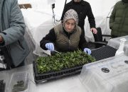 SATSO Meclis Üyeleri Sapanca’daki Doku Kültürü Laboratuvarını İnceledi