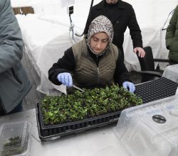 SATSO Meclis Üyeleri Sapanca’daki Doku Kültürü Laboratuvarını İnceledi