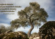 Gönlümüzü yerden yere vuran bir yıldı 2025. Buna karşı tek gücümüz “bir arada kalmayı başarmak” oldu.