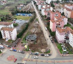 Türkiye’nin 7 coğrafi bölgesinden izler taşıyacak proje Ferizli’de adım adım