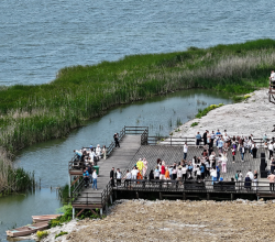 İş Dünyası ve Tasarım Haftası Dolu Dolu Geçti