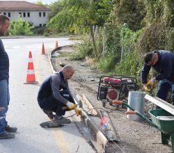Arifiye Belediyesi Hanlı Girişte Kaldırım çalışmalarına başladı