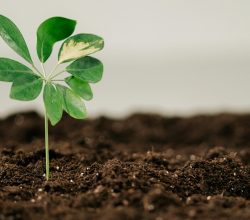 FerNaBio Fertilizer, Türkiye’yi sürdürülebilir tarım ve bitki besleme çalışmaları için bölgesel üs olarak seçti