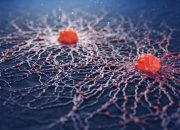 Kanser tehdit  ediyor…