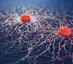 Kanser tehdit  ediyor…