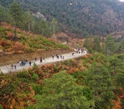 Kılıçkaya Vadisi Doğa ve Ekoloji Derneği Geyve Gıda İhtisas Organize Sanayi Bölgesini takibe aldı