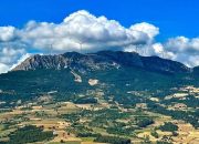 Tarımın, doğanın ve yerel yaşamın korunması  gözardı ediliyor