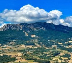 Tarımın, doğanın ve yerel yaşamın korunması  gözardı ediliyor