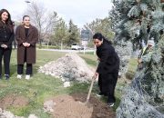 Son dört yılda 100 bin tohum, 8 bin fidan ve 100 ağaç doğayla buluştu