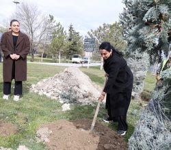 Son dört yılda 100 bin tohum, 8 bin fidan ve 100 ağaç doğayla buluştu