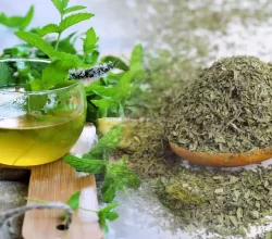 Şişkinliği ve  gazı anında  geçiriyor…