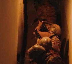 Organize suç örgütlerine 6 ilde operasyon: 61 gözaltı 46’sı tutuklandı