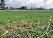 Tarımsal Öğretimin 180. Yılında, Tarım-Toprakta Yaşanan Yapısal Sorunlar Sürdürülebilir Yaşamı ve Gıda Güvencesini Tehdit Etmektedir