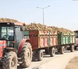 Adapazarı Şeker Fabrikası Yıldız Holding tarafından Bor Şeker’e satılıyor.