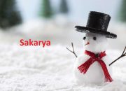 Sakarya İlinde Okullar 12 Ocak Pazartesi Tatil edildi