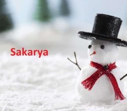 Sakarya İlinde Okullar 12 Ocak Pazartesi Tatil edildi