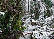 Beyaz örtü Sapanca Gölü’nü besleyen derelere can oldu