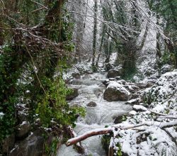 Beyaz örtü Sapanca Gölü’nü besleyen derelere can oldu