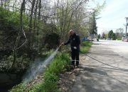Sapanca’da Larva ile Mücadele Çalışmaları