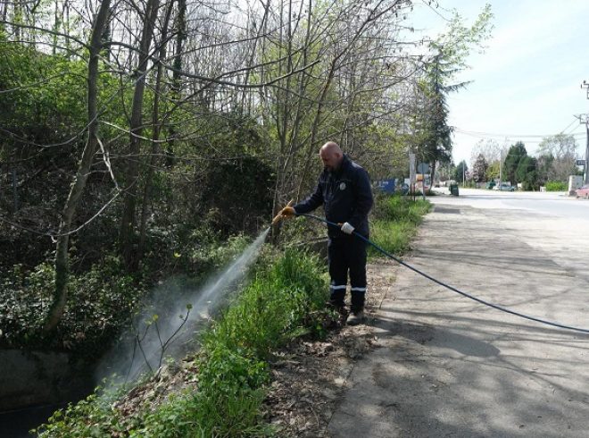Sapanca’da Larva ile Mücadele Çalışmaları
