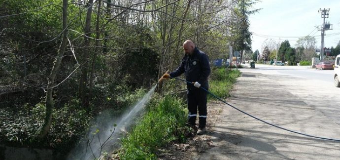 Sapanca’da Larva ile Mücadele Çalışmaları