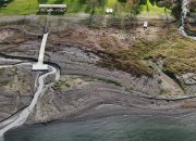 Sapanca Gölü yok oluyor…